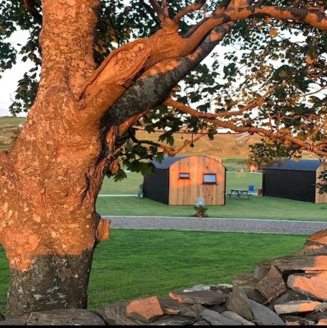 拉辛赫Castledarcy Glamping公寓 外观 照片